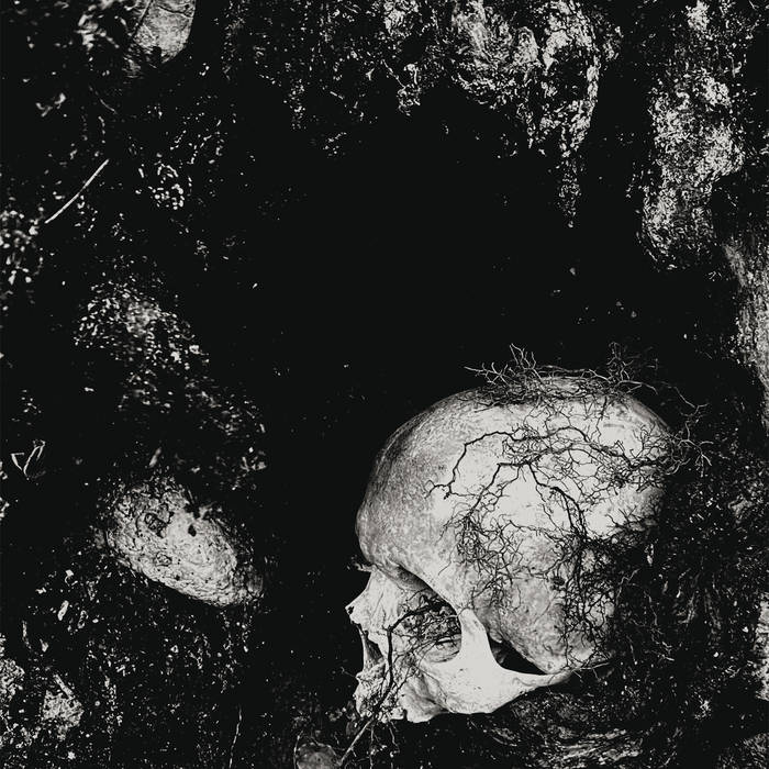 RaidApocalyptic's tweet image. B L A C K  F U C K I N G  M E T A L

Chelmno 🇮🇹 - Decadence of Ego (2025)

dolomianera.bandcamp.com/album/decadenc…