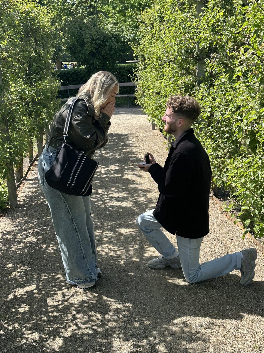 Dan tweet media