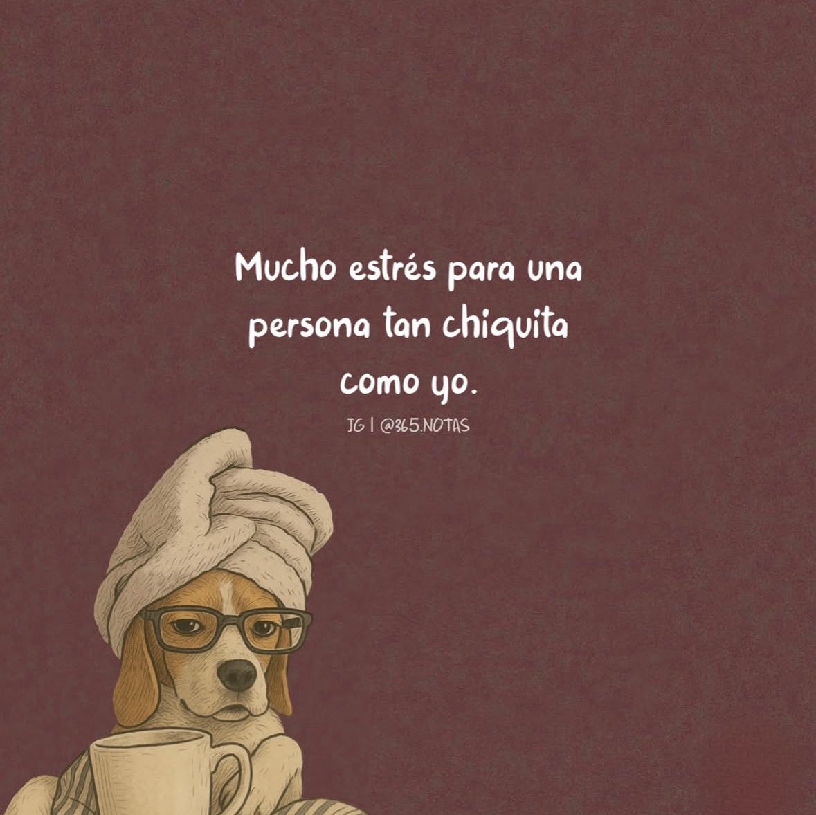 dilocondibujos_'s tweet photo. https://t.co/Pgp24mOhKr