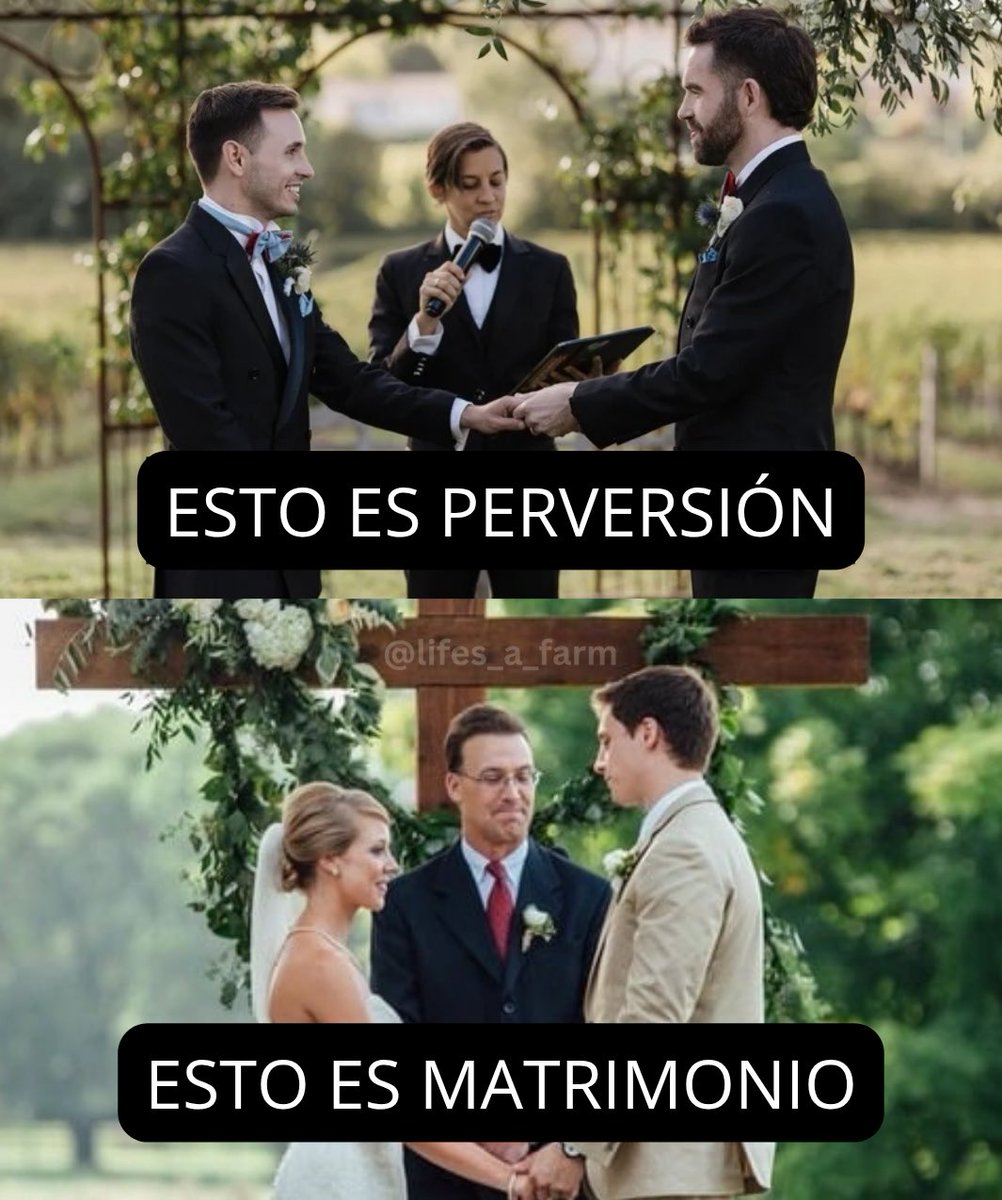 Propósito de Dios tweet media