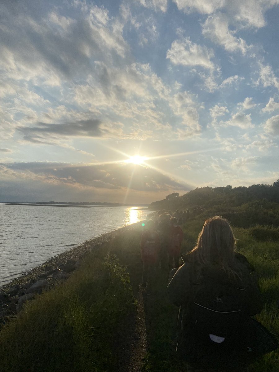 The sun has come out - the perfect weather for a beach walk ☀️ #cobnor2025