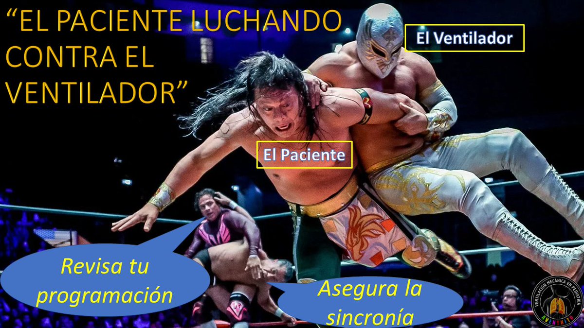 MedCritPed's tweet photo. El paciente con ventilación mecánica invasiva que se agrava ¿qué debemos pensar y hacer?

Abro hilo 🧵, iniciamos, y abiertos los comentarios.

Esto aplica si tu paciente es adulto, pediátrico o neonato.

SoMe4MV &amp; PedsICU https://t.co/W0N7EbiJl3