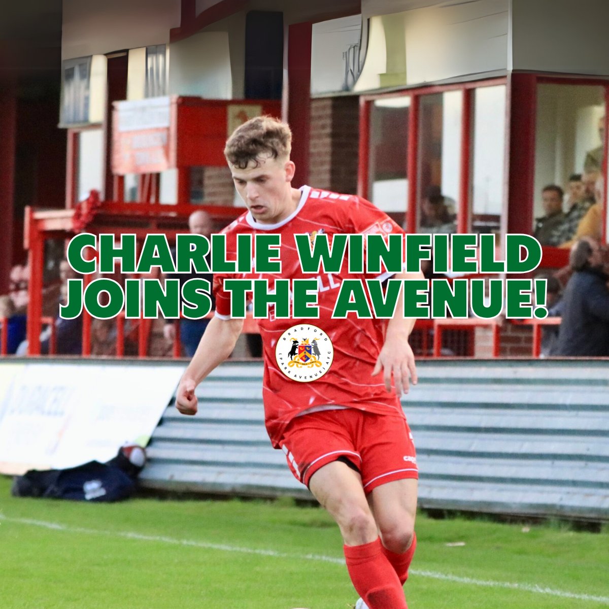 BPAFCOfficial's tweet photo. ✍️ Welcome to the Avenue, Charlie Winfield!
The former Barnsley defender joins BPA for the 2025/26 season, bringing experience from spells at Esbjerg fB, Alfreton, Darlington, and Bridlington Town.
Full story 👉 https://t.co/rWKjd4eSZI
#GreenArmy #Bradford #ParkAvenue 💚 https://t.co/DmJZiFJNsV