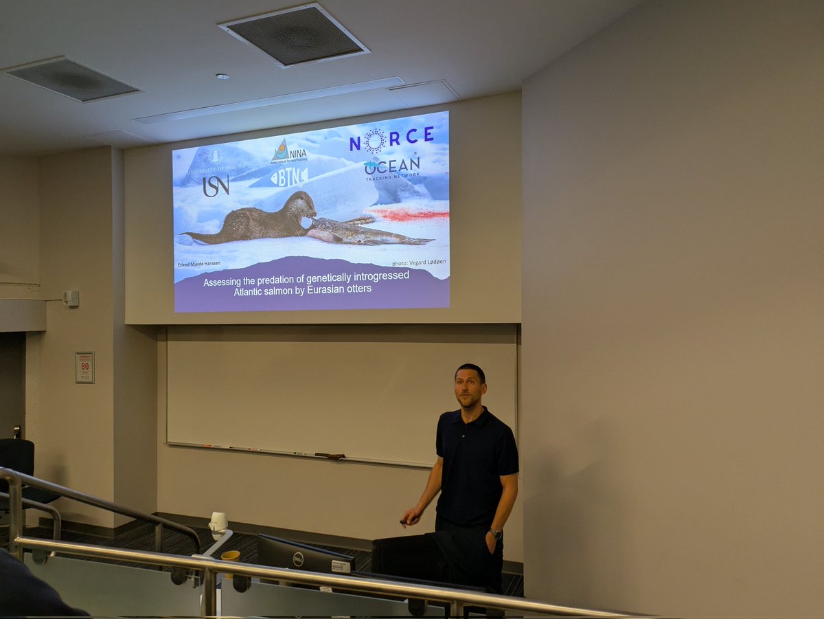 NoWPaS (@nowpas) on Twitter photo Now, Erlend Mjelde Hanssen (<a href="/ErlendMHanssen/">Erlend M.Hanssen</a>) presents his work on assessing the predation of genetically introgressed Atlantic Salmon by Eurasian Otters Now, Erlend Mjelde Hanssen (<a href="/ErlendMHanssen/">Erlend M.Hanssen</a>) presents his work on assessing the predation of genetically introgressed Atlantic Salmon by Eurasian Otters