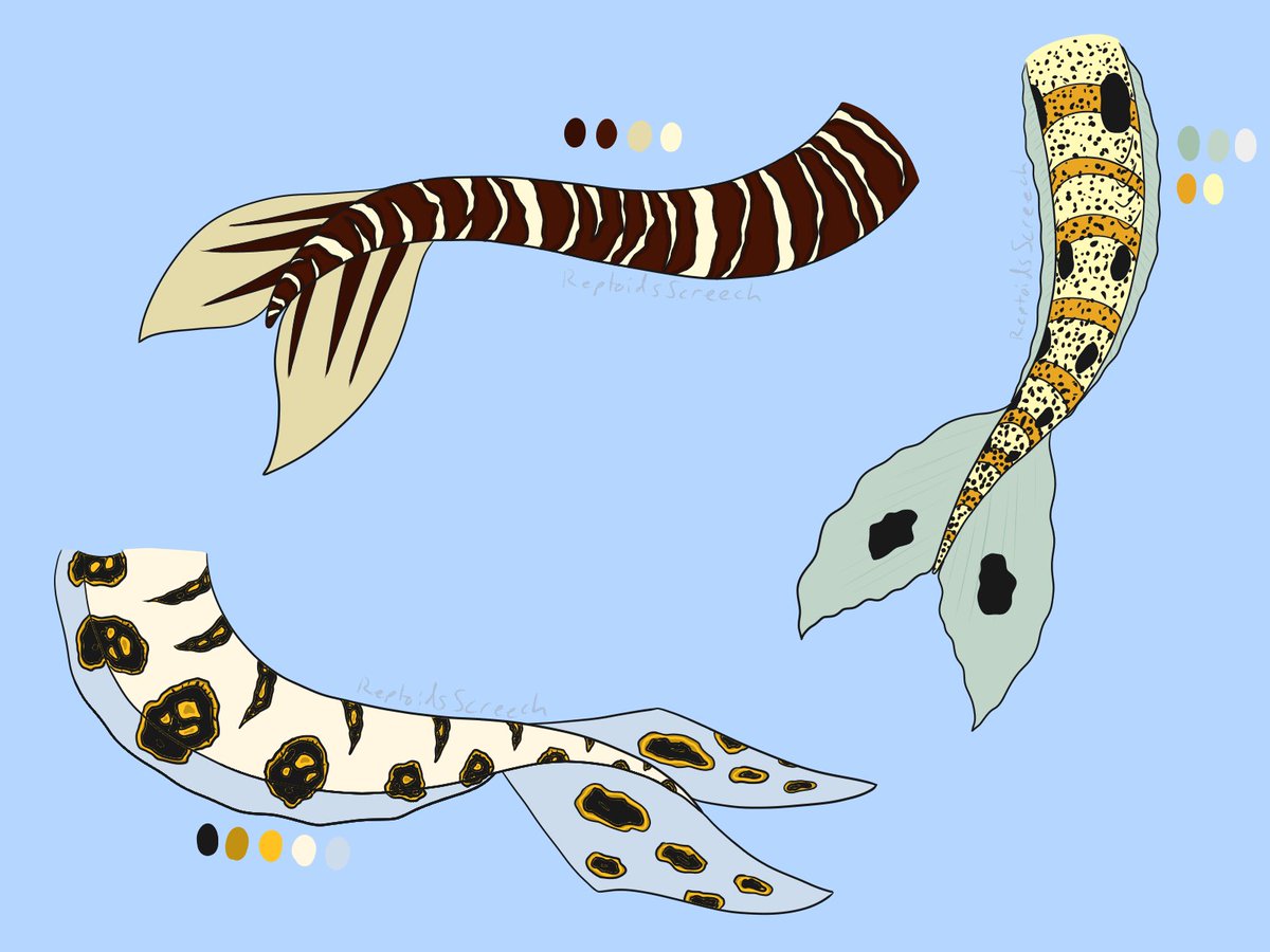 Eel themed mer tail design set, $12 each
Zebra moray (top), garden eel (right), and snowflake moray  (lower left) 

#mermay #mermaid #adopts #mer