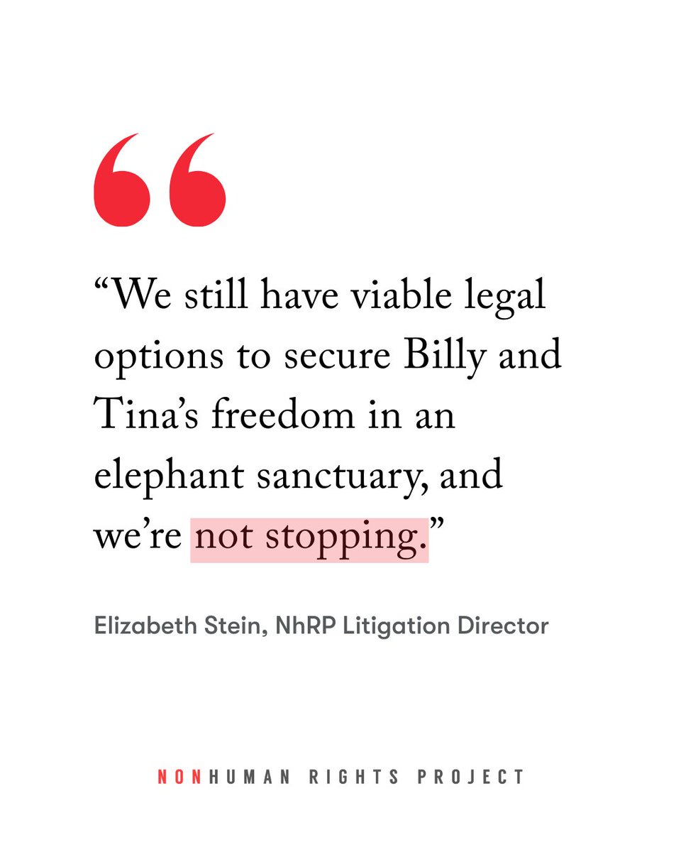 🚨On 5/20 the NhRP announced we’d filed a habeas corpus petition seeking Billy &amp; Tina's right to liberty &amp; release to a sanctuary. On 5/21 the #LAZoo shared that they'd already transported Billy &amp; Tina to the #TulsaZoo. The statement from our Litigation Director Elizabeth Stein: