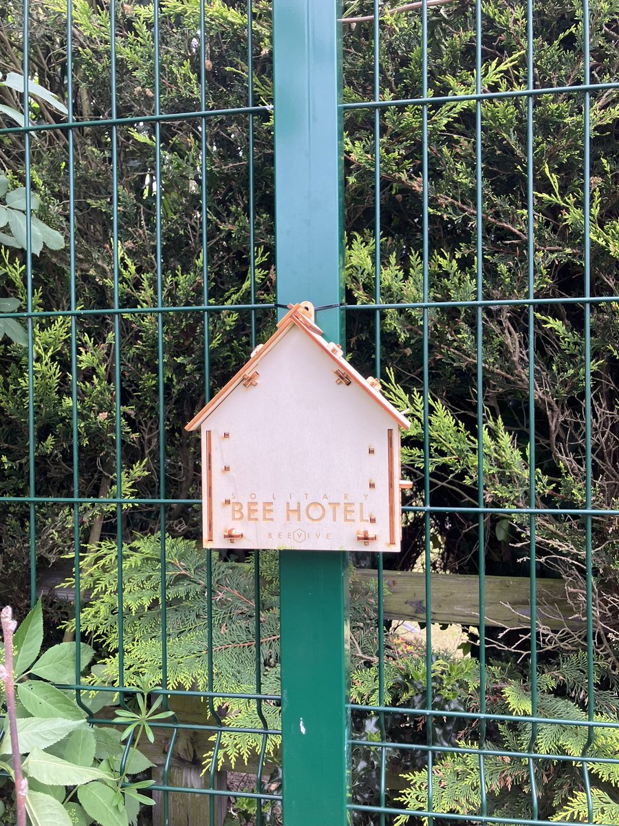 NorthDuffieldSc's tweet image. We did it! Our school has achieved a @BumblebeeTrust Bumblee-Friendly Bronze Award. The science council will continue working on #conservation as we now set our sights for the next level. 🐝