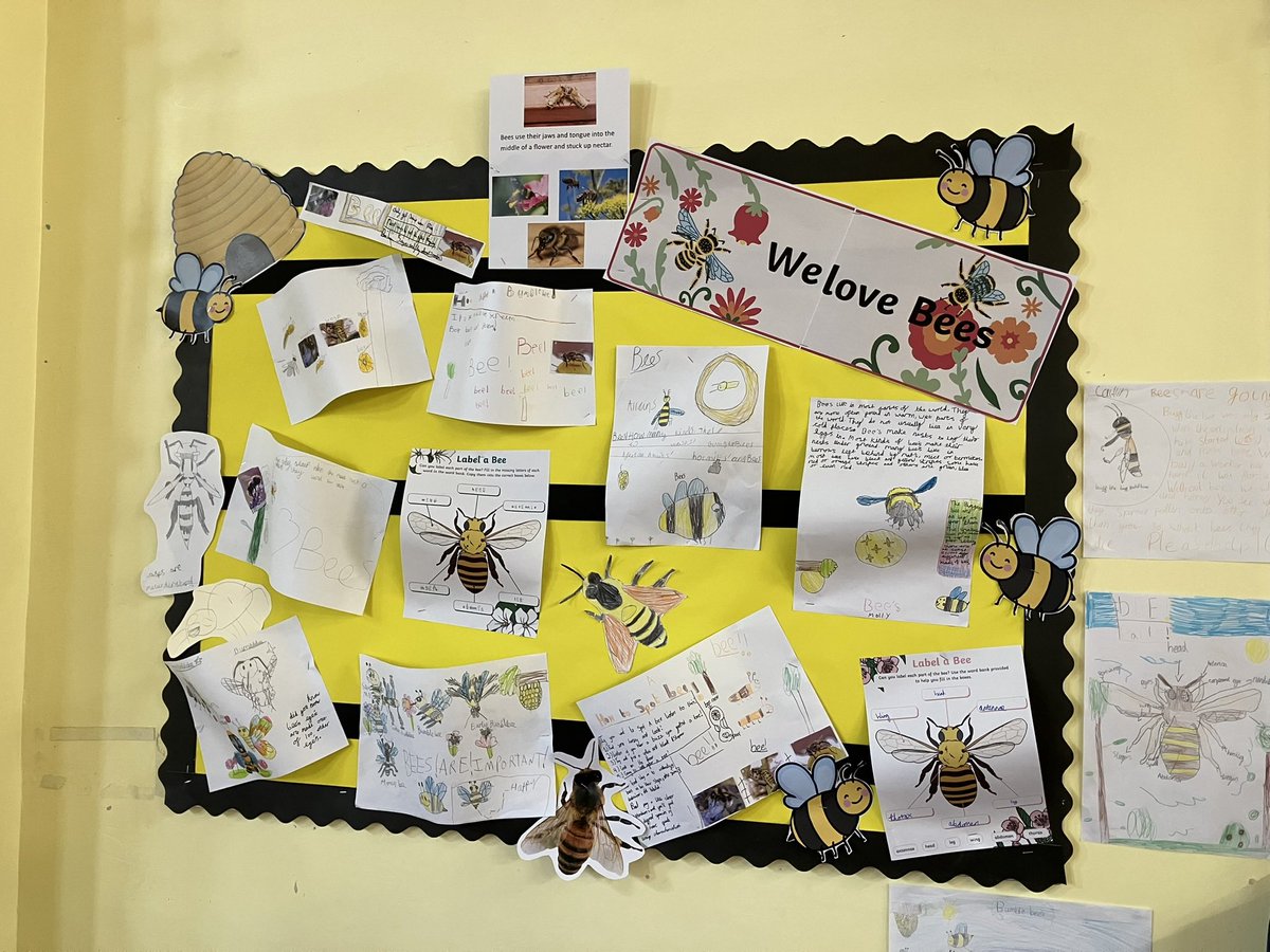 NorthDuffieldSc's tweet image. We did it! Our school has achieved a @BumblebeeTrust Bumblee-Friendly Bronze Award. The science council will continue working on #conservation as we now set our sights for the next level. 🐝