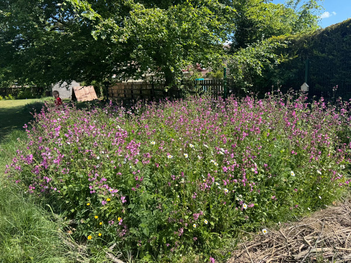 NorthDuffieldSc's tweet image. We did it! Our school has achieved a @BumblebeeTrust Bumblee-Friendly Bronze Award. The science council will continue working on #conservation as we now set our sights for the next level. 🐝