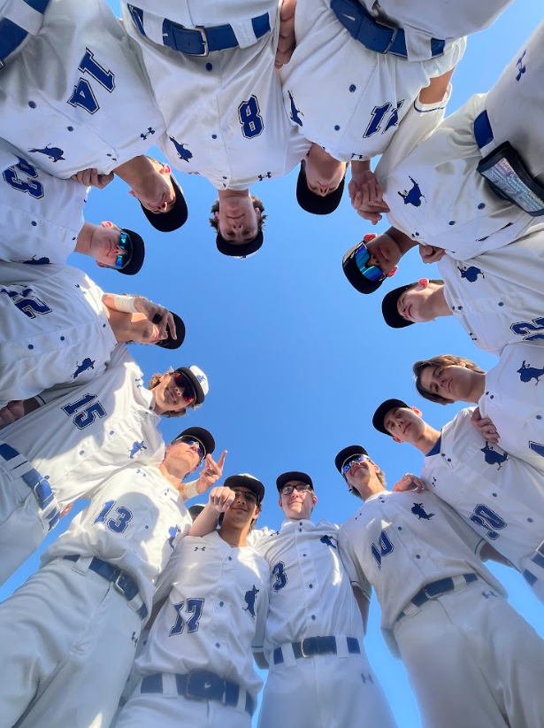 WHS Blue Jays Baseball tweet media