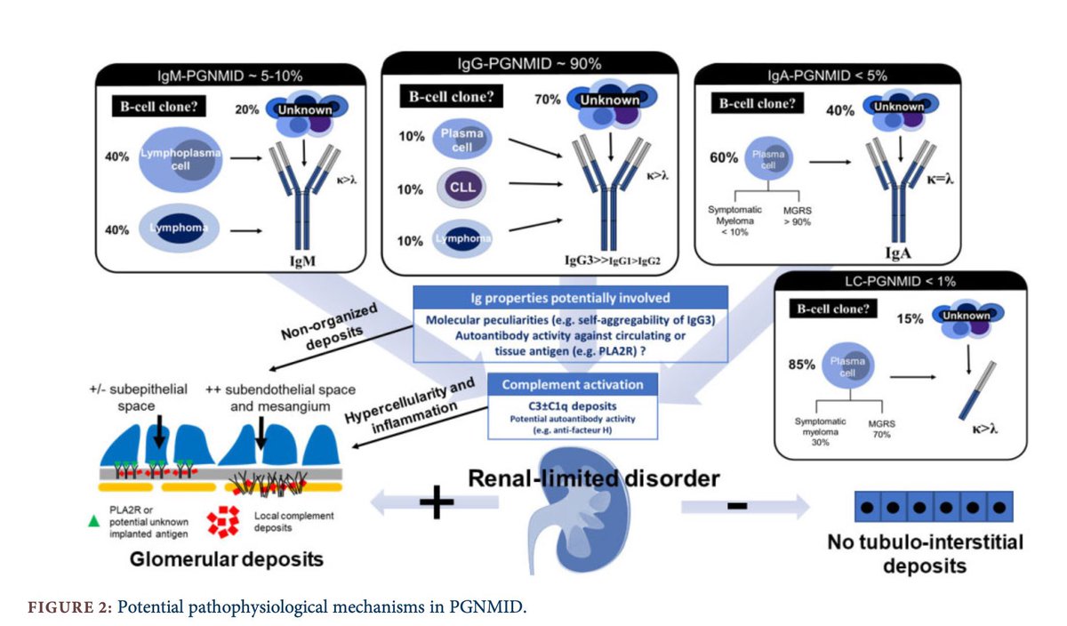 🫘✨Pathophysiology of PGNMID

doi.org/10.3390/cells1…

<a href="/NDTsocial/">NDT</a> <a href="/hjanders_hans/">Hans-Joachim Anders</a>
