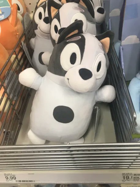 TheBootTestAccount tweet media