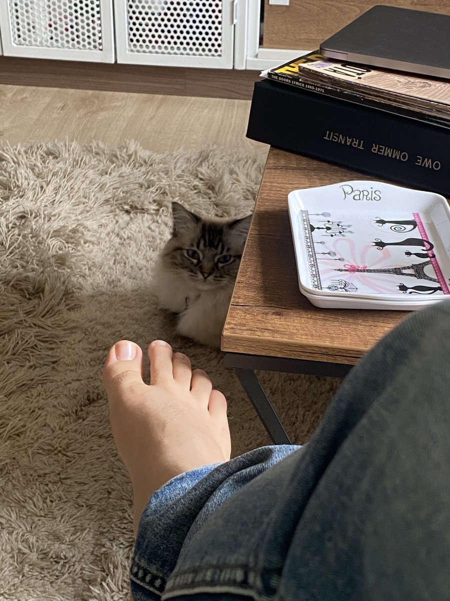 yogarope's tweet image. Humano te estoy observando 

#catlovers #feets