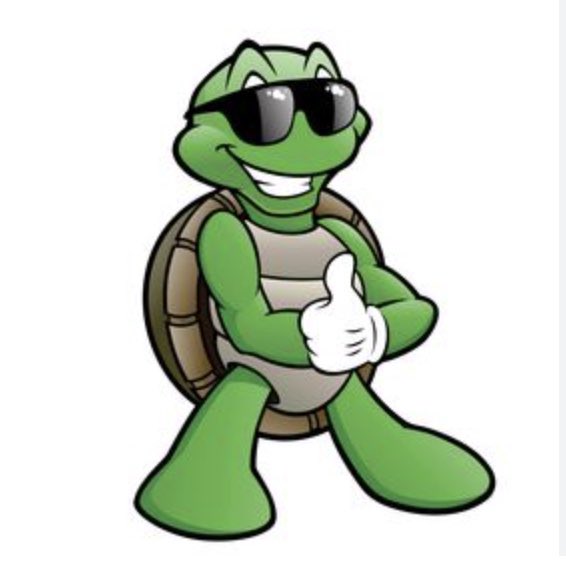 thewave85's tweet image. It’s a good Turtle Time over here pull up !!