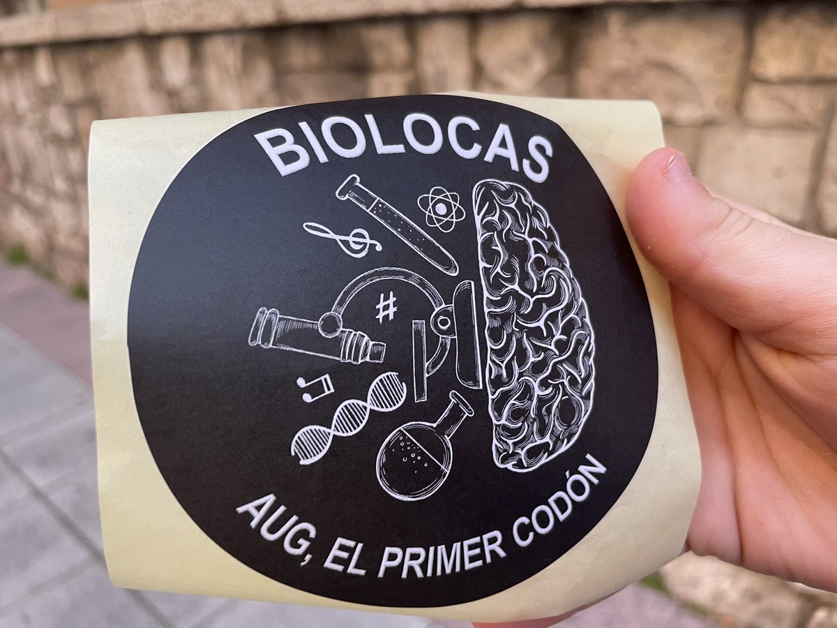 Infanmusic's tweet photo. Hoy por #PintKids en festival @pintofscienceES en mercado San Leopoldo
Investigación @IrisMonteroMuo2🌵y 🐧 @icmm_csic
Las Biolocas han empezado concierto con la fotosíntesis🌳 #PINT25ES
Festival Pint of Science con charlas y música para toda la familia https://t.co/B6ckLgi32j https://t.co/xEXlbRaR3q