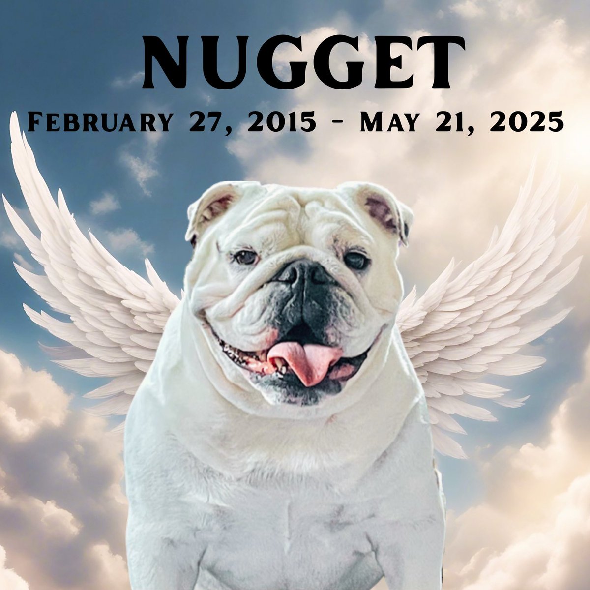 Top Shelf Bourbon tweet media