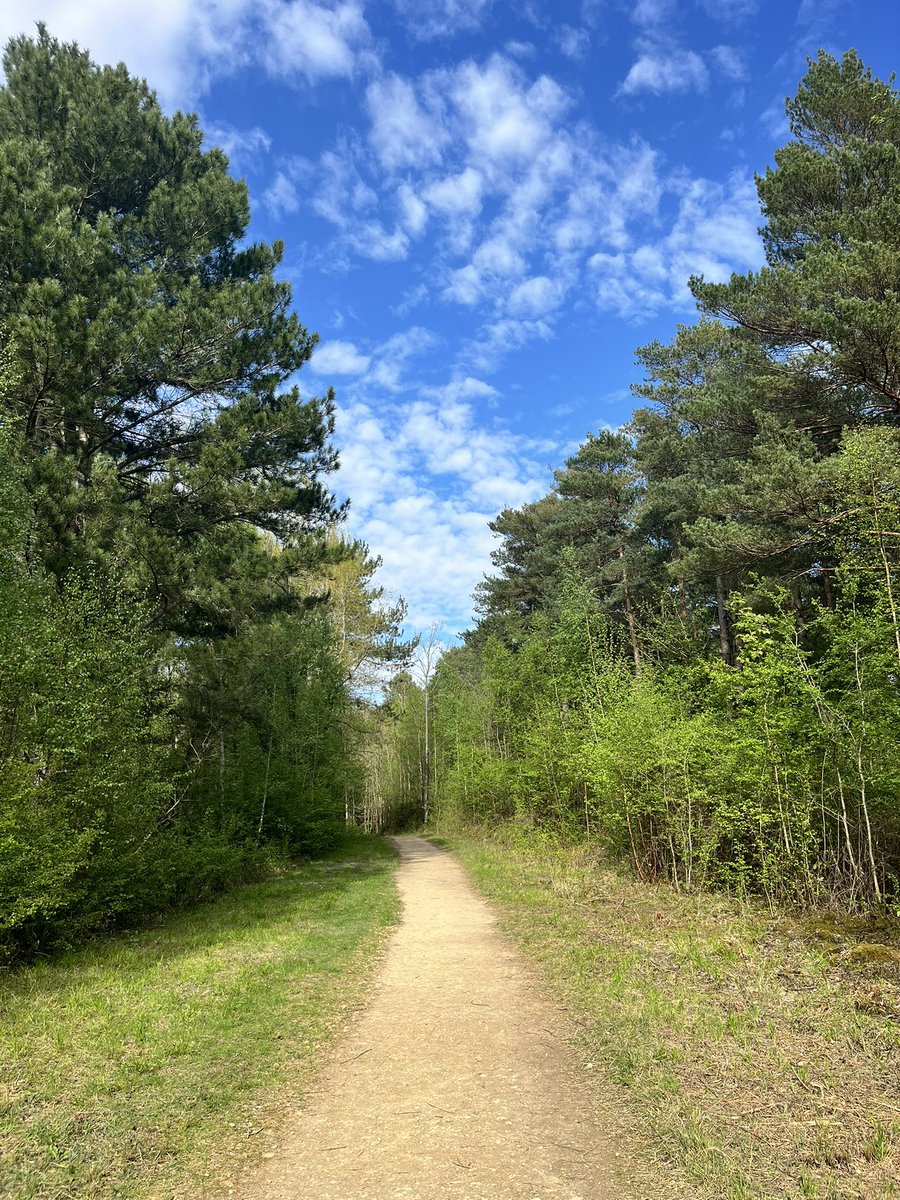 Karolina tweet media