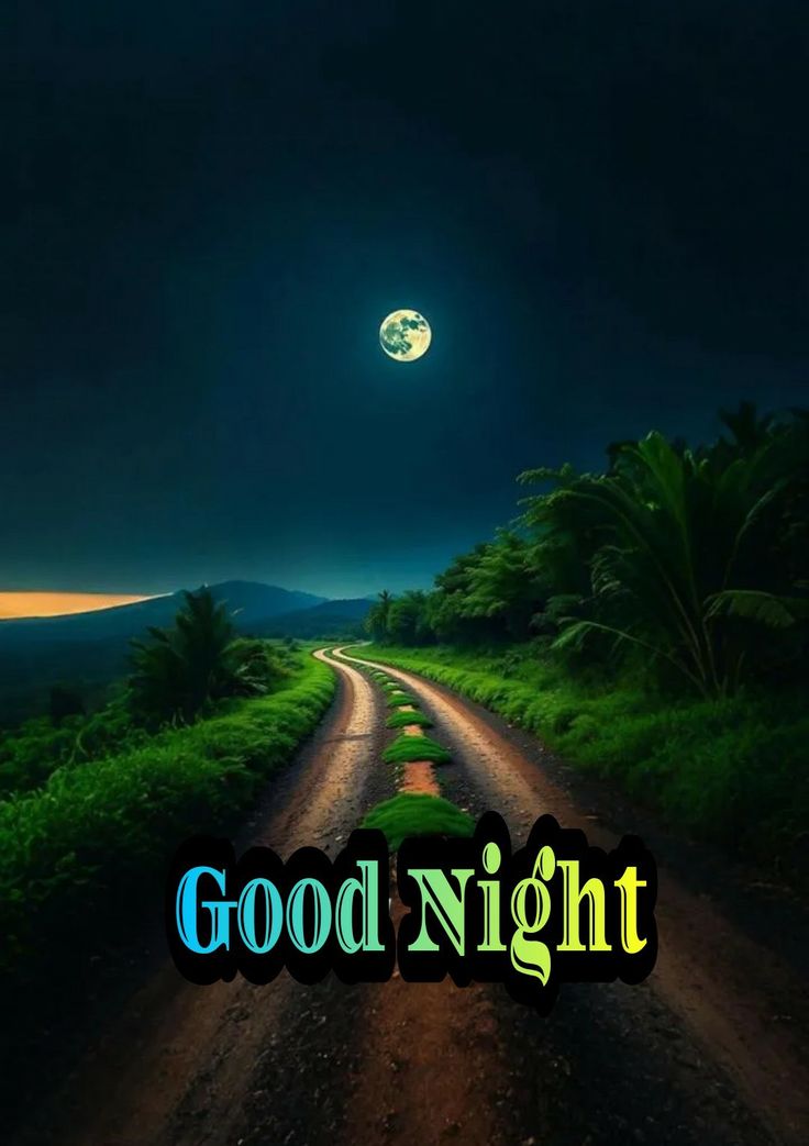 Gohar Chaudhary 🇸🇦 tweet media