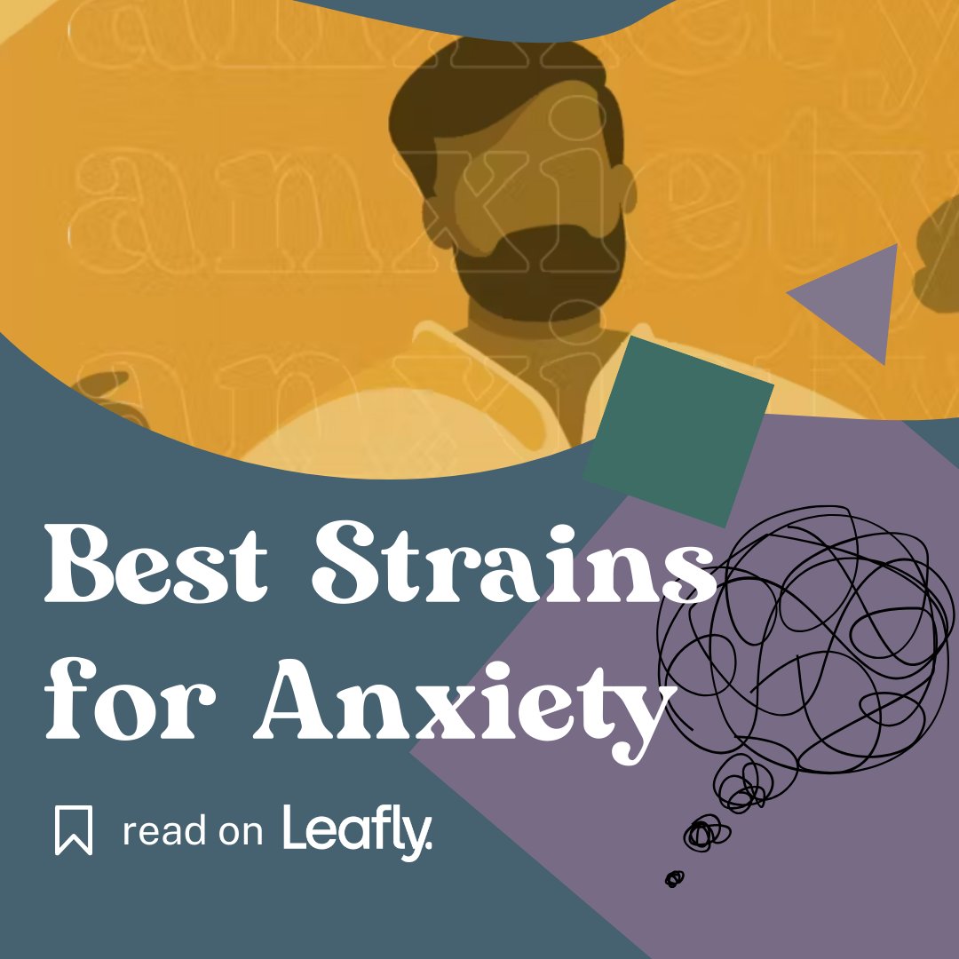 Leafly's tweet image. Let’s talk about mindful medicine. In honor of Mental Health Awareness Month, we’ve rounded up a list of balanced, lower potency strains that help target anxiety according to real Leafly reviews. Hit the link to experience the full spectrum of chill: bit.ly/4krIst9