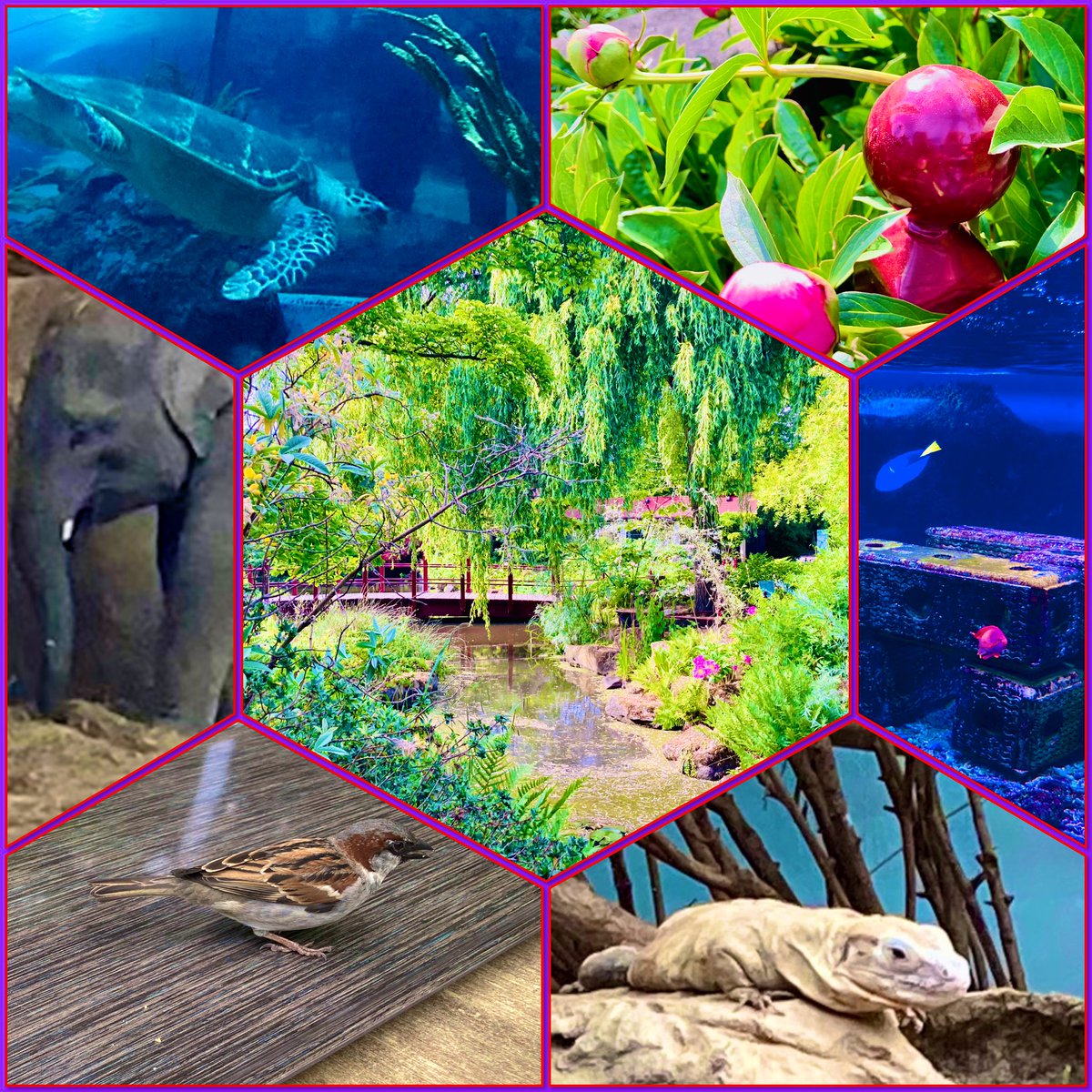 Was weer een fijn wandelrondje vandaag. 🩷