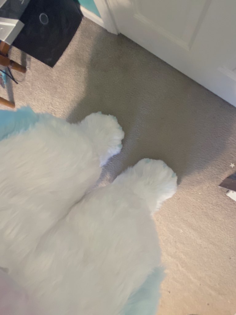 Happy paw day! Here’s more paw than you know what to do with!