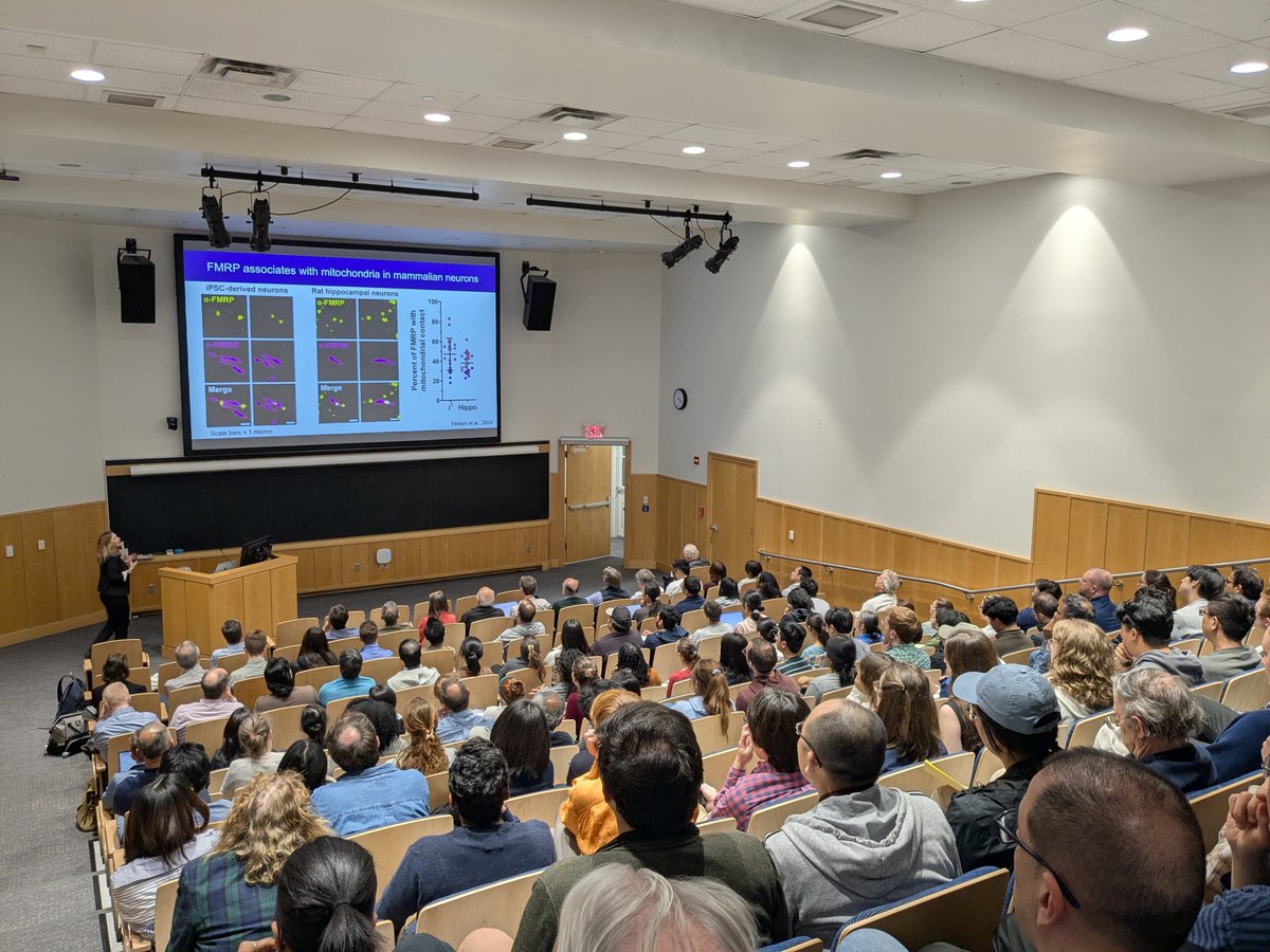 Yale Kavli Institute for Neuroscience (@kavliatyale) on Twitter photo Thank you to everyone who joined us for this year's <a href="/KavliAtYale/">Yale Kavli Institute for Neuroscience</a> Distinguished Lecture 🗣️ & a huge thank you to the amazing Erika Holzbaur 🙌 for sharing her insights!🧠 Thank you to everyone who joined us for this year's <a href="/KavliAtYale/">Yale Kavli Institute for Neuroscience</a> Distinguished Lecture 🗣️ & a huge thank you to the amazing Erika Holzbaur 🙌 for sharing her insights!🧠