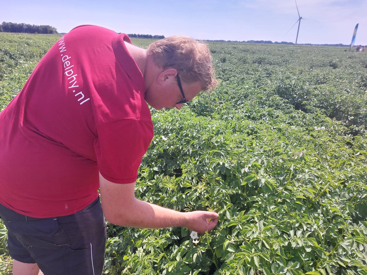 DelphyNL's tweet photo. Meldt u aan voor het webinar op 27 mei 19.00uur over Optimaal bemesten in aardappel 🥔🌱
https://t.co/qjfkvRGzGH
- bouwsteen
- plantniveau
- groei
- marges
- financiën
- Optimalisatie
- Oogst
- toekomst
@nutrichecknet https://t.co/966iJz8Eyd