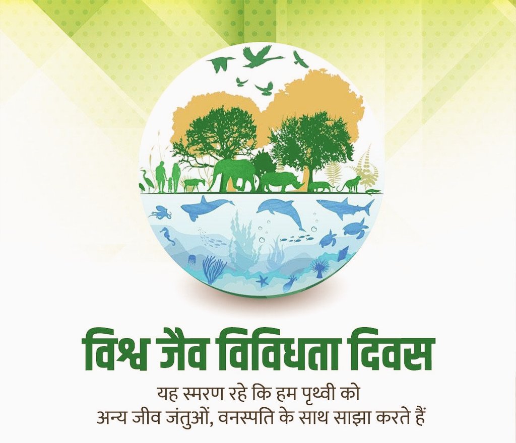 2025 में 22 मई को मनाया जाने वाला अंतर्राष्ट्रीय जैव विविधता दिवस "प्रकृति के साथ सामंजस्य और सतत विकास" थीम पर केंद्रित है। यह थीम जैव विविधता की रक्षा और सतत विकास लक्ष्यों को प्राप्त करने के बीच महत्वपूर्ण संबंध को उजागर करती है।
