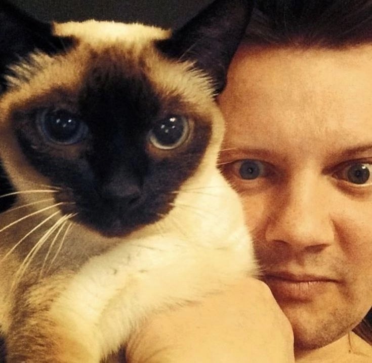 незаконно умилительное фото 🥰
слишком много голубых глаз на один квадратный метр