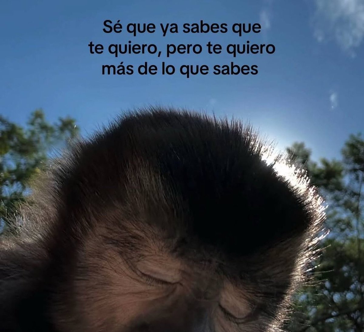 emociones amarillas (@conoloracigarro) on Twitter photo 