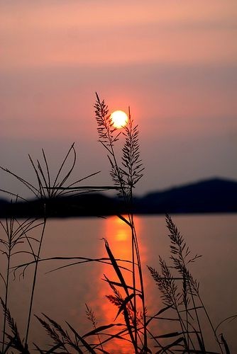 #world #photography #nature