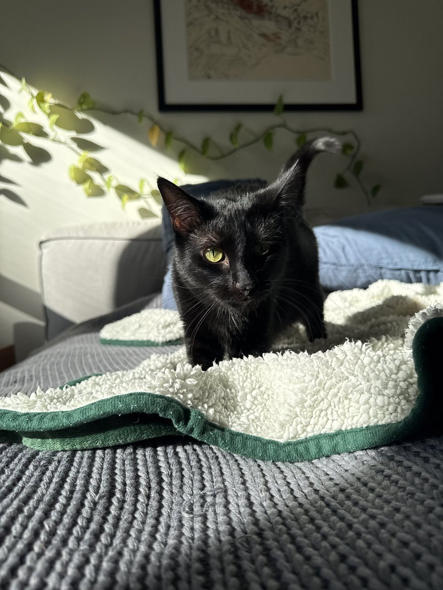 Willy Wright (@rightclickwilly) on Twitter photo 