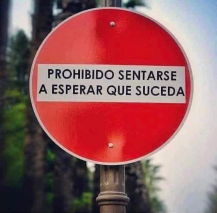 Mónica Satostegui (@monisatostegui) on Twitter photo 