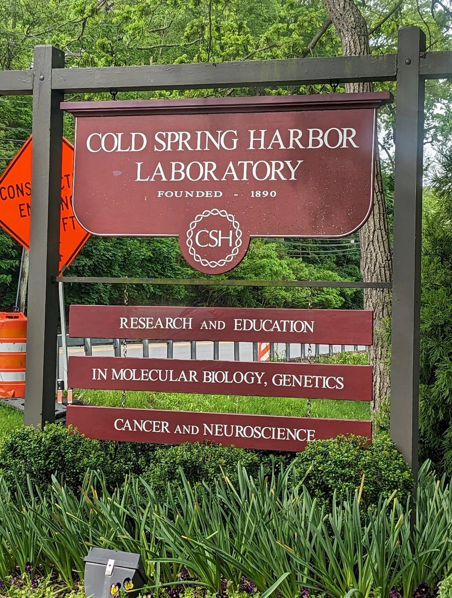 Shefali (@iam_shef) on Twitter photo Had a wonderful time <a href="/cshlmeetings/">CSHL Meetings</a> #cshlmetab 2025 ! Grateful to everyone who stopped by and gave feedback on my work. Spl mention <a href="/AHAScience/">AHA Science</a> <a href="/American_Heart/">American Heart Association</a> for supporting us AHA predoc fellows with conference support !!
<a href="/IUBiology/">IU Biology</a> <a href="/TennessenLab/">Jason Tennessen</a>
#phdlife #AcademicTwitter Had a wonderful time <a href="/cshlmeetings/">CSHL Meetings</a> #cshlmetab 2025 ! Grateful to everyone who stopped by and gave feedback on my work. Spl mention <a href="/AHAScience/">AHA Science</a> <a href="/American_Heart/">American Heart Association</a> for supporting us AHA predoc fellows with conference support !!
<a href="/IUBiology/">IU Biology</a> <a href="/TennessenLab/">Jason Tennessen</a>
#phdlife #AcademicTwitter