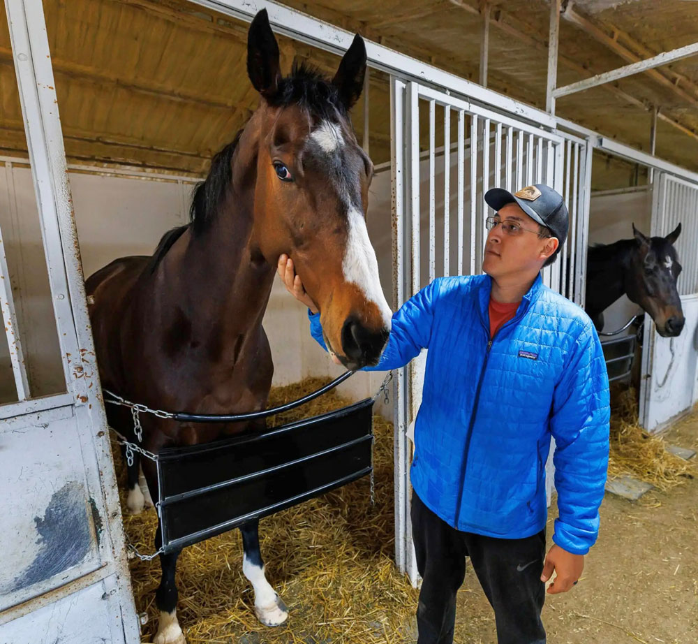 Assiniboia Downs (@assiniboiadowns) on Twitter photo Indigenous trainers rule the roost at Assiniboia Downs winnipegfreepress.com/breakingnews/2… Trainer Steve Keplin, Jr. shown here with his 2024 Nephrite Stakes winner Exacting.
Mike Deal <a href="/WinnipegNews/">Winnipeg Free Press</a> 📸
#ASD #ASDowns #AssiniboiaDowns #DoTheDowns #Winnipeg #Manitoba #HorseRacing #Horses Indigenous trainers rule the roost at Assiniboia Downs winnipegfreepress.com/breakingnews/2… Trainer Steve Keplin, Jr. shown here with his 2024 Nephrite Stakes winner Exacting.
Mike Deal <a href="/WinnipegNews/">Winnipeg Free Press</a> 📸
#ASD #ASDowns #AssiniboiaDowns #DoTheDowns #Winnipeg #Manitoba #HorseRacing #Horses
