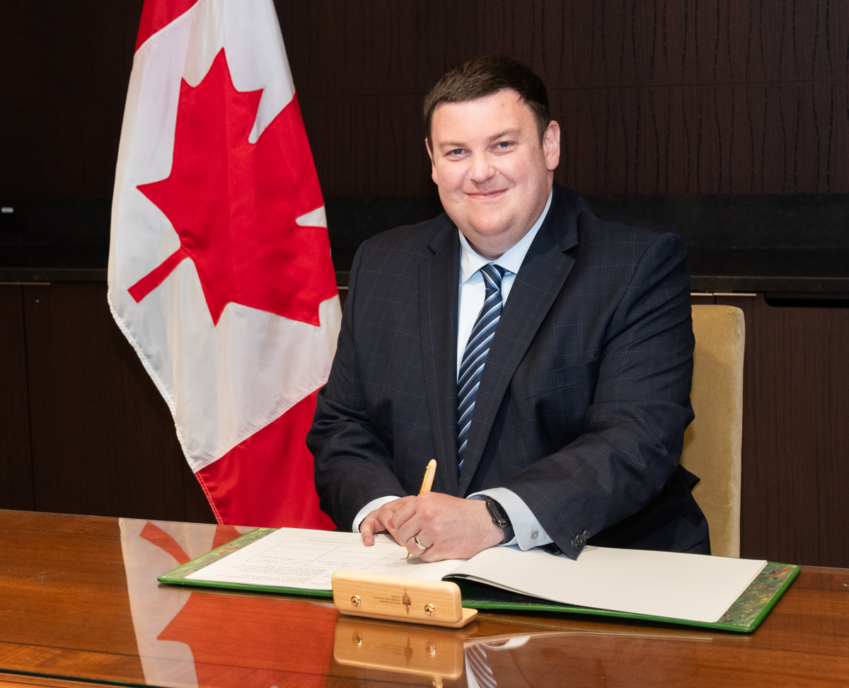 Andrew Lawton tweet media