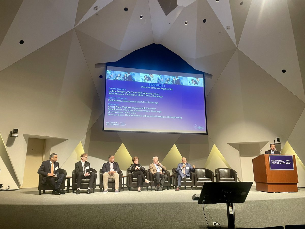 Pinar Zorlutuna tweet media