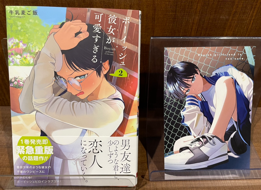入荷情報】 『ボーイッシュ彼女が可愛すぎる』 2巻 入荷してます