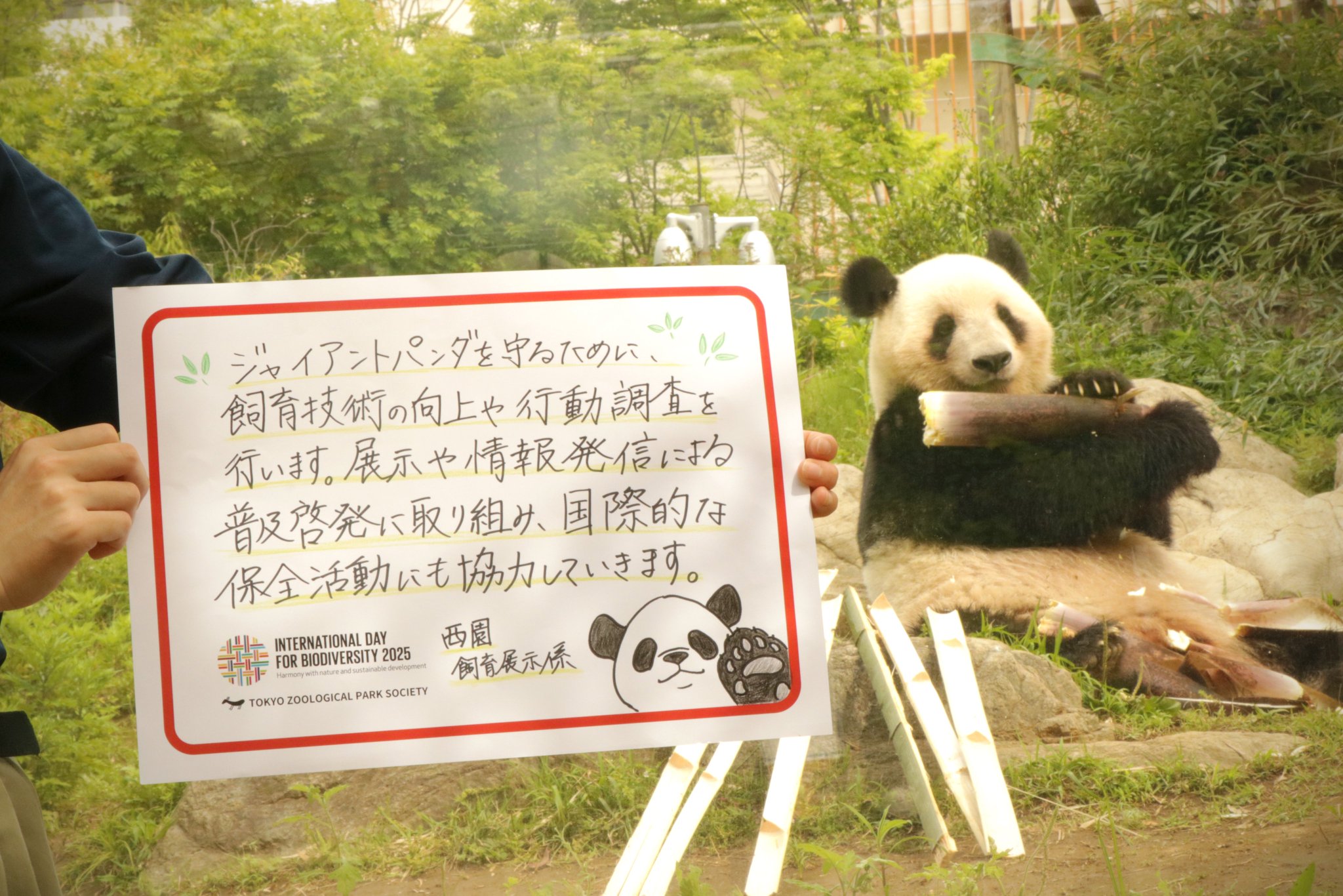 上野動物園［公式］ on X: 