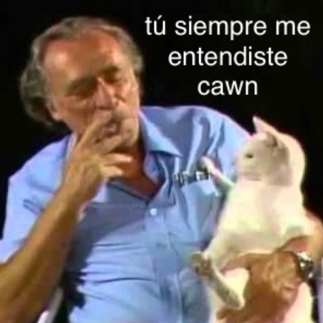 Nasty Poet (@nxstypxet) on Twitter photo 