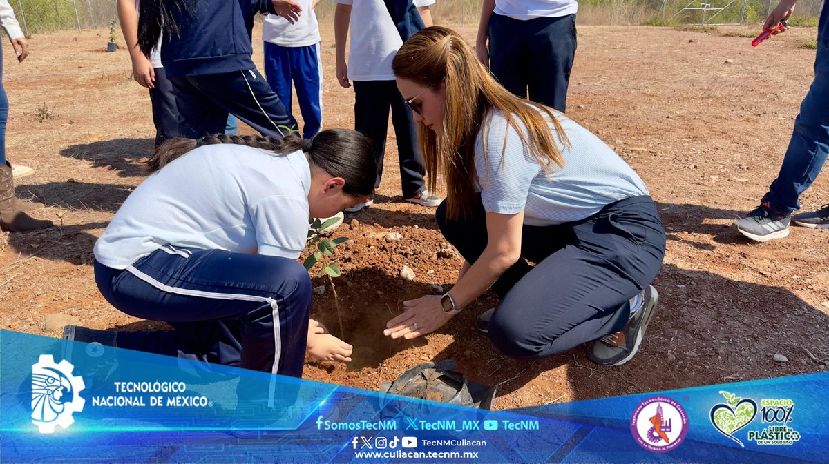 TecNMCuliacan's tweet image. 🌱 El ITC apoya en la plantación de árboles en la Ciudad Educadora del Saber de Sinaloa 🌳

💚 ¡En el ITC sembramos conocimiento, valores y un mejor futuro para todas y todos!

#SomosTecNM #ITCuliacán #CompromisoAmbiental #CIIDETEC #CiudadEducadoraDelSaber #OrgulloITC