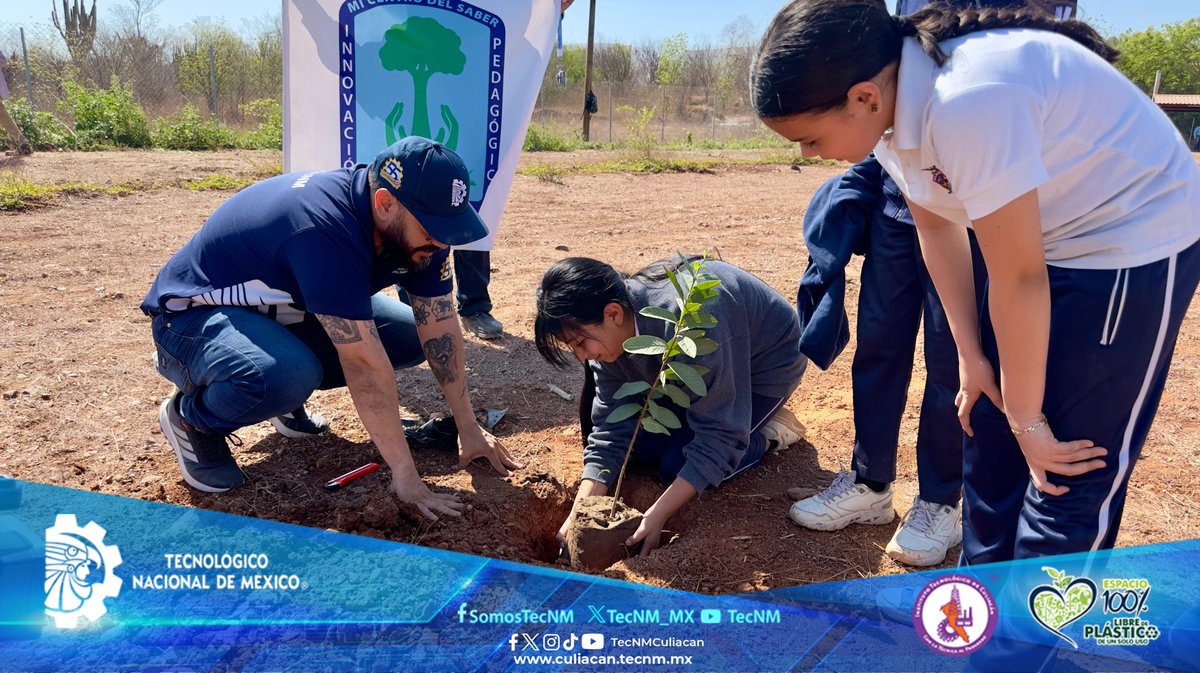 TecNMCuliacan's tweet image. 🌱 El ITC apoya en la plantación de árboles en la Ciudad Educadora del Saber de Sinaloa 🌳

💚 ¡En el ITC sembramos conocimiento, valores y un mejor futuro para todas y todos!

#SomosTecNM #ITCuliacán #CompromisoAmbiental #CIIDETEC #CiudadEducadoraDelSaber #OrgulloITC