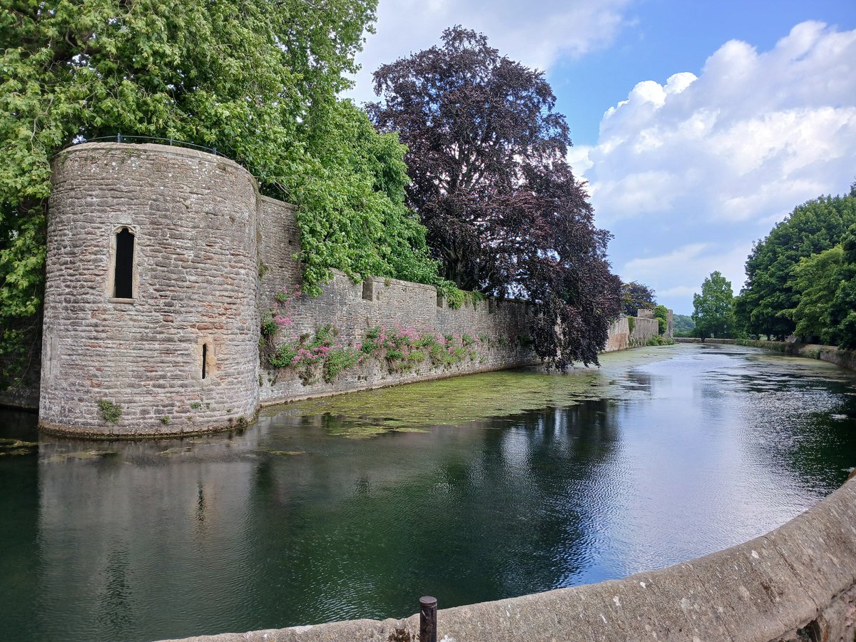 Alex Tedford tweet media