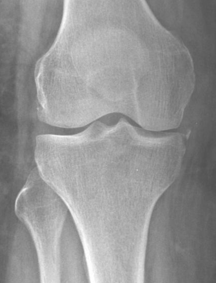 Shingo Omata tweet media