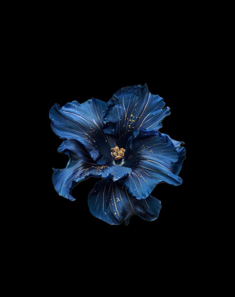 ٪؜ (@3sovana) on Twitter photo 