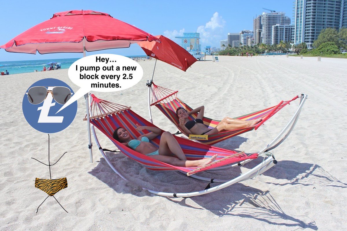 litecoin tweet picture