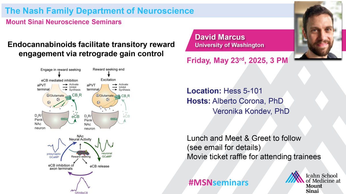 Friedman Brain Institute (@sinaibrain) on Twitter photo NOT TO MISS! This Friday, May 23rd, 3 PM, JOIN #MSNseminars when hosts Drs. <a href="/Mr_Beto_Corona/">Alberto Corona</a> & <a href="/veronikakondev/">Veronika Kondev, PhD</a> welcome <a href="/UWMedicine/">UW Medicine</a>'s Dr. <a href="/DavidJMarcus2/">David Marcus</a> who will present “Endocannabinoids facilitate transitory reward engagement via retrograde gain control". Location: Hess 5-101 NOT TO MISS! This Friday, May 23rd, 3 PM, JOIN #MSNseminars when hosts Drs. <a href="/Mr_Beto_Corona/">Alberto Corona</a> & <a href="/veronikakondev/">Veronika Kondev, PhD</a> welcome <a href="/UWMedicine/">UW Medicine</a>'s Dr. <a href="/DavidJMarcus2/">David Marcus</a> who will present “Endocannabinoids facilitate transitory reward engagement via retrograde gain control". Location: Hess 5-101
