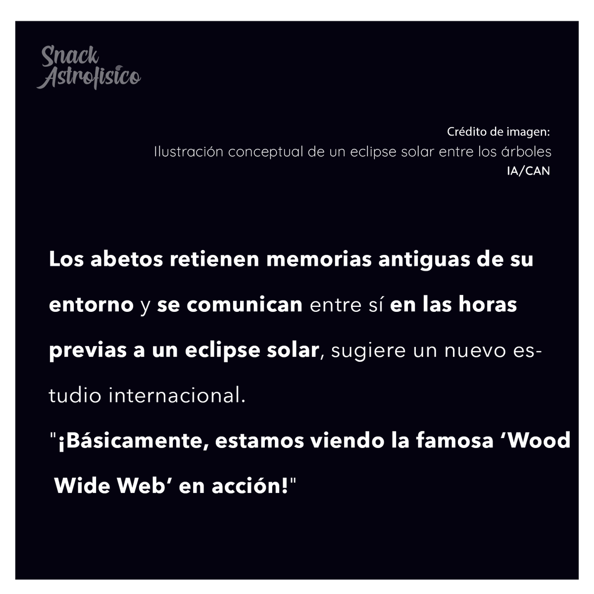 AstrofisicosA's tweet photo. 😎Antes del eclipse, los árboles se hablan en silencio. ¿No es hermoso? 🥹

#science #astronomia #EclipseExperience #divulgacioncientifica #SnackAstrofísico https://t.co/uc4BuNjAcK