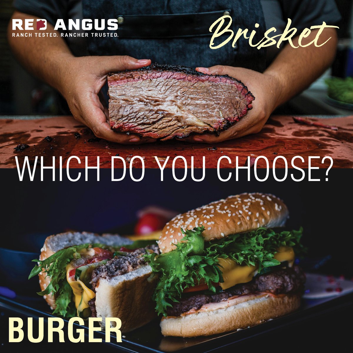 RedAngusAmerica's tweet photo. May 28 is both #NationalHamburgerDay AND #NationalBrisketDay. 🍔🥩

We’re putting Red Angus beef to the test — which gets your vote?

❤️ for burger
🔁 for brisket
👇 Or reply to let us know!
#RedAngus #BeefBattle https://t.co/GsyxzDizvj