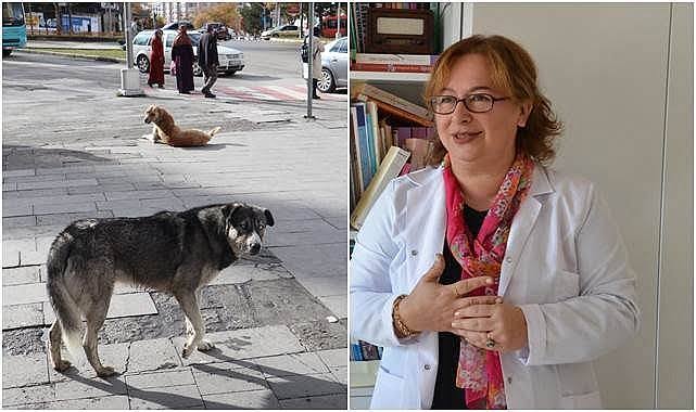 Prof. Dr. Nilüfer Sabuncuoğlu:

"Bir çocuğun parmağı, dünyadaki tüm hayvanlardan kıymetlidir. Veteriner bilimleri böyle söyler. Evrensel hukuk böyle söyler."